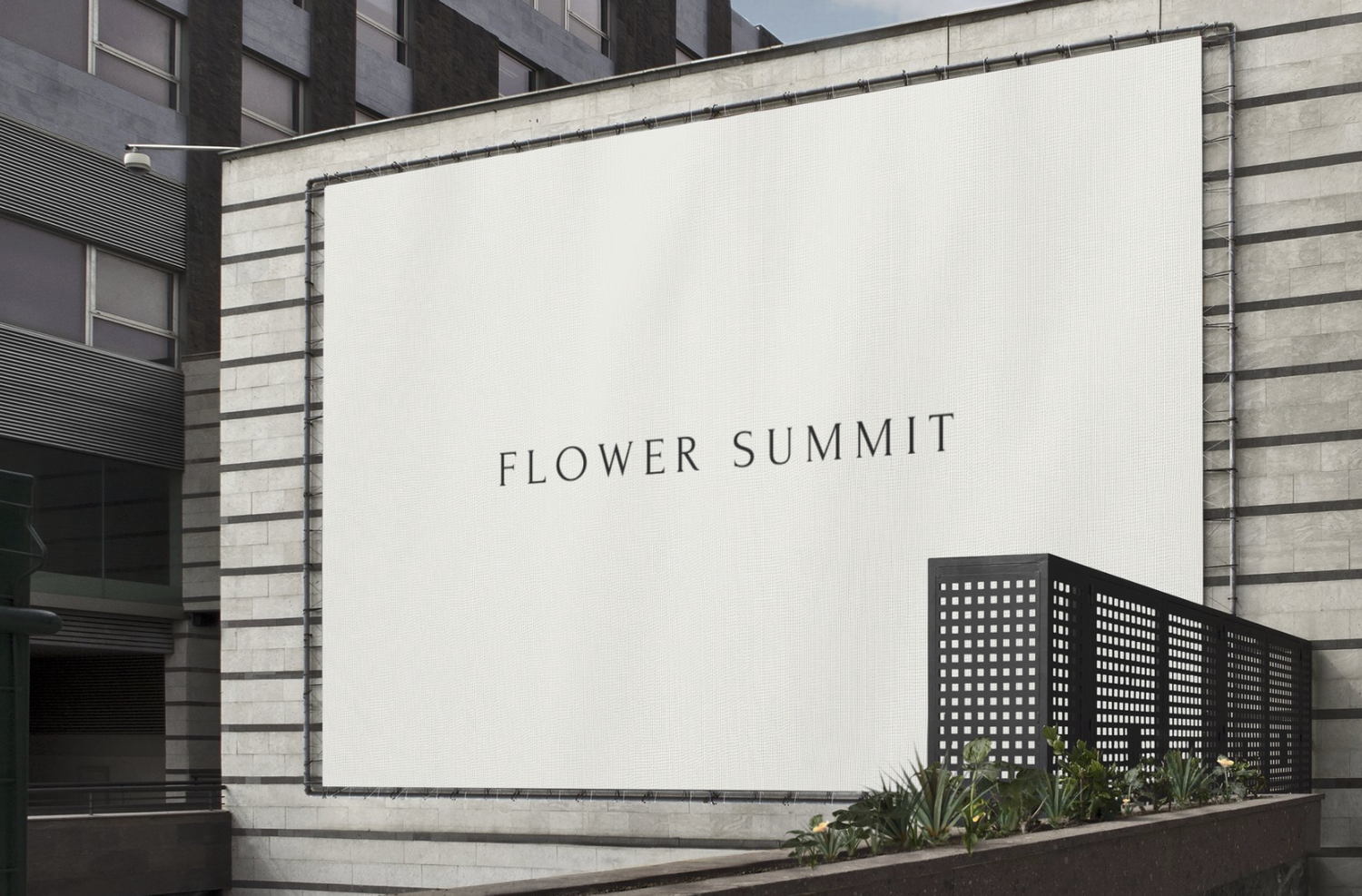 Newcastle marketing agency marketing by Business Brother